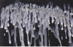 Photo Texture of Wax